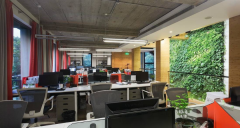 當裝修遇到雨季，辦公室應如何防潮？